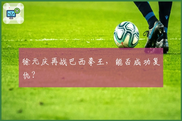 徐元庆再战巴西拳王，能否成功复仇？