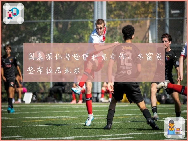 国米深化与哈伊杜克合作，冬窗或签布拉尼米尔