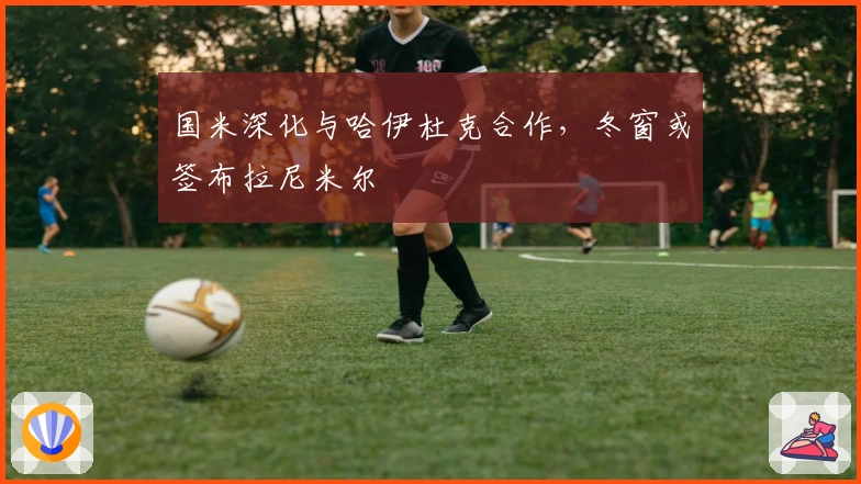 国米深化与哈伊杜克合作，冬窗或签布拉尼米尔