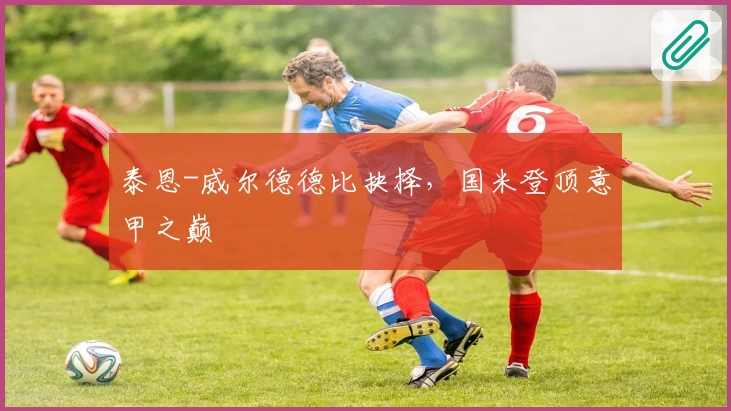 泰恩-威尔德德比抉择,国米登顶意甲之巅